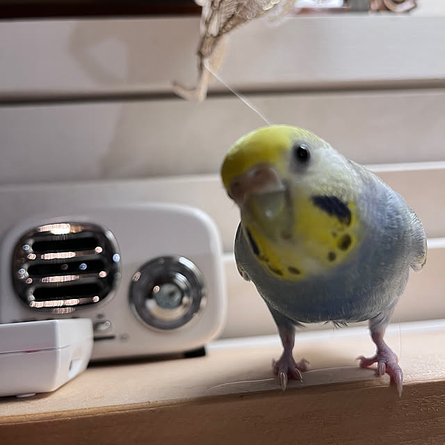 Atsukoさんの部屋