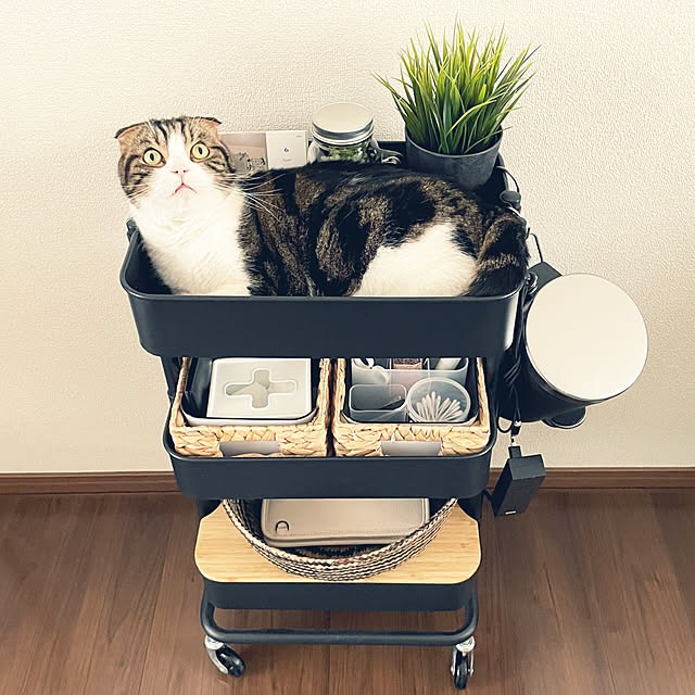 tansukeさんの部屋