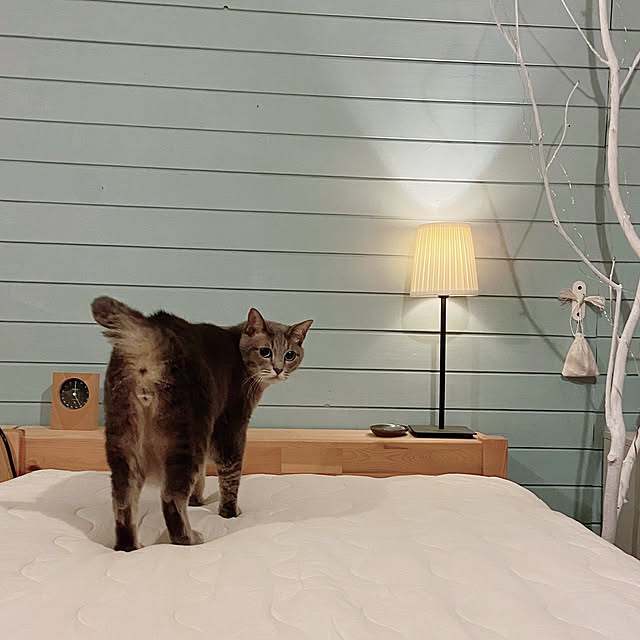 akaneさんの実例写真