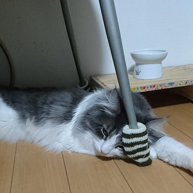 shinobuさんの実例写真