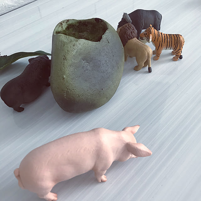 riakanaさんの実例写真