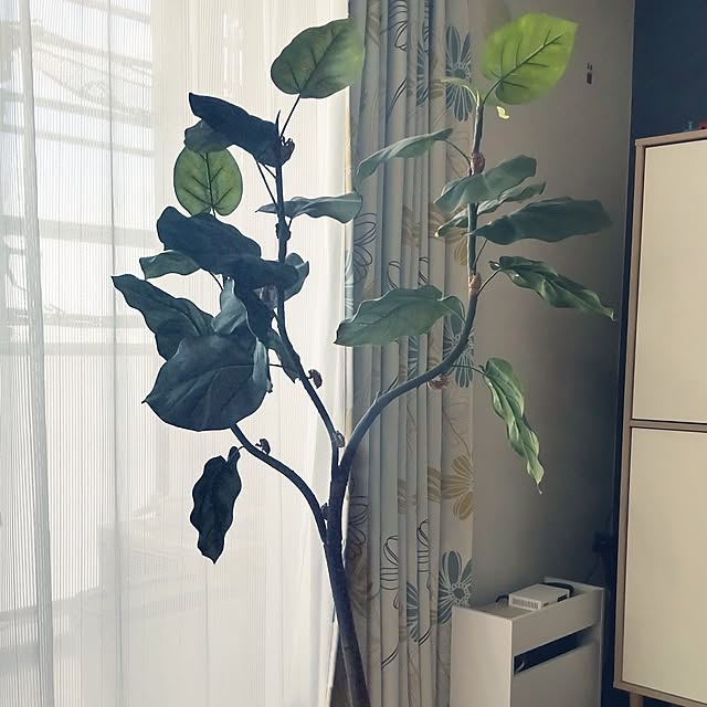 yuuさんの実例写真