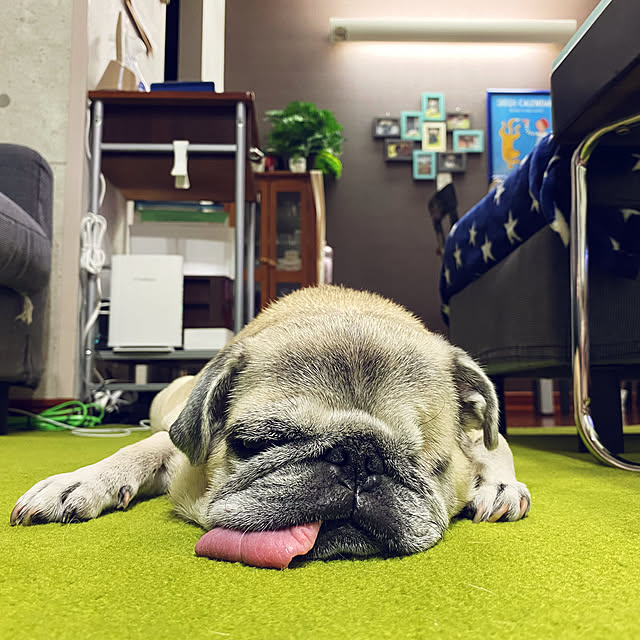 kellyさんの実例写真