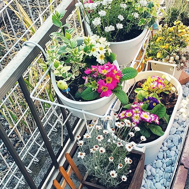 pomさんの部屋
