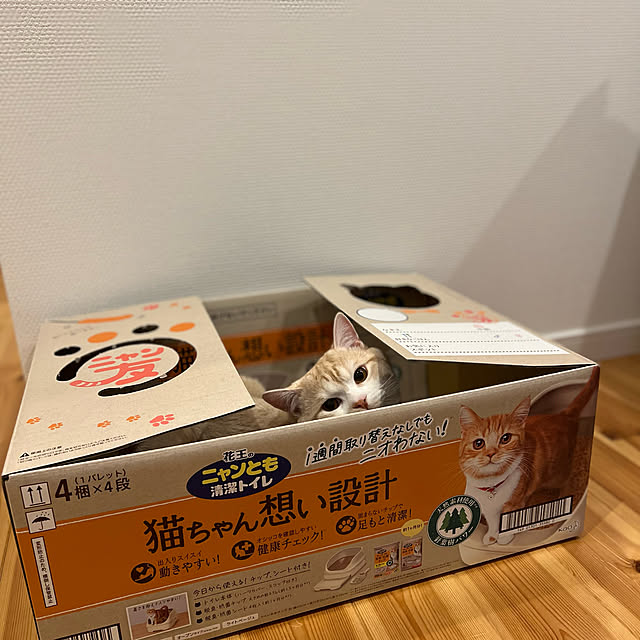 sanaさんの実例写真