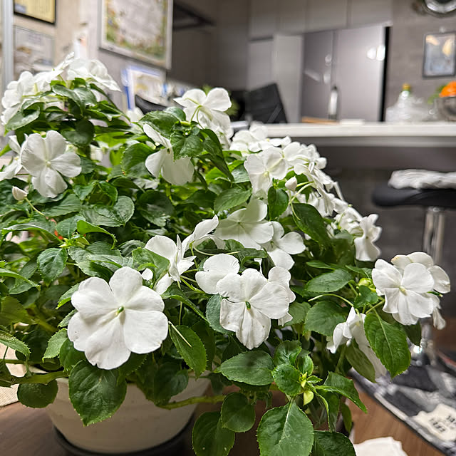 Aqettyさんの部屋