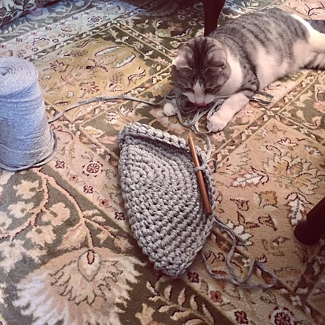 emmyyさんの実例写真