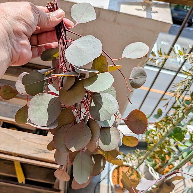 mi-saさんの実例写真