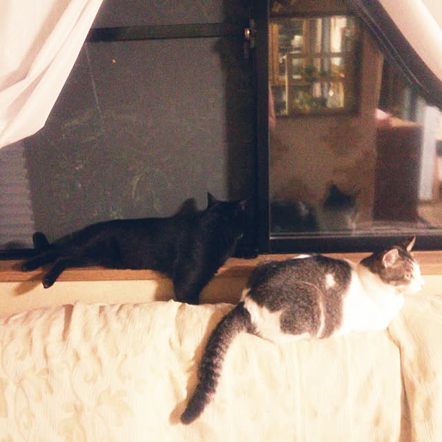 Tomopさんの実例写真