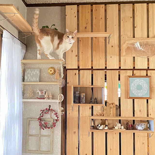 mintteaさんの実例写真
