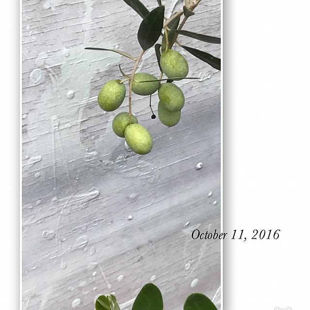 kokko3さんの実例写真