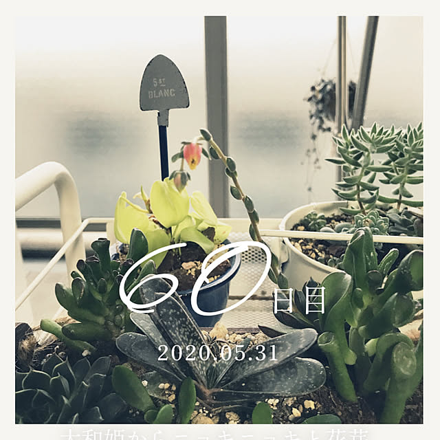 miyamiyaさんの部屋