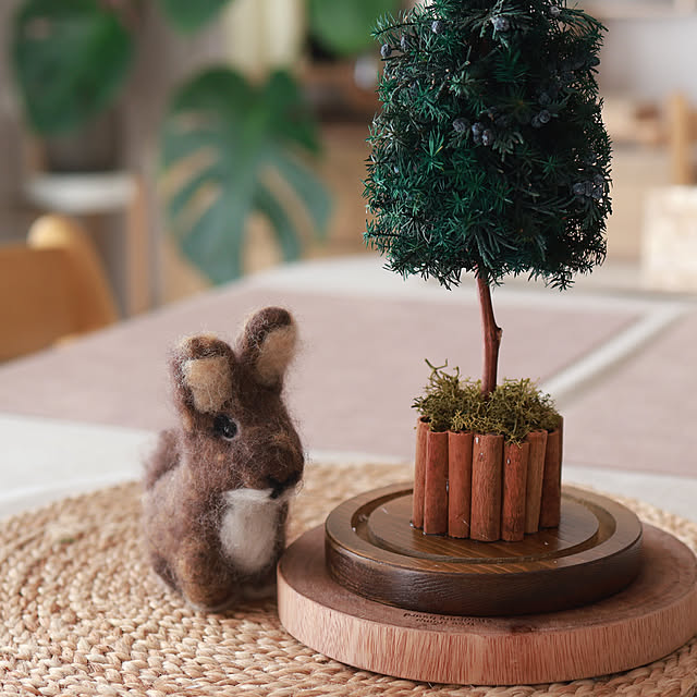 Summerさんの部屋