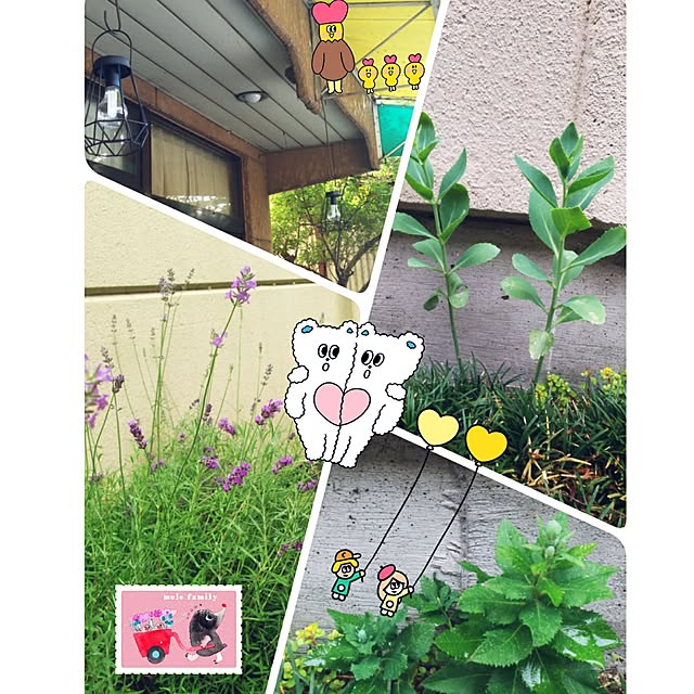cherrycherryさんの実例写真