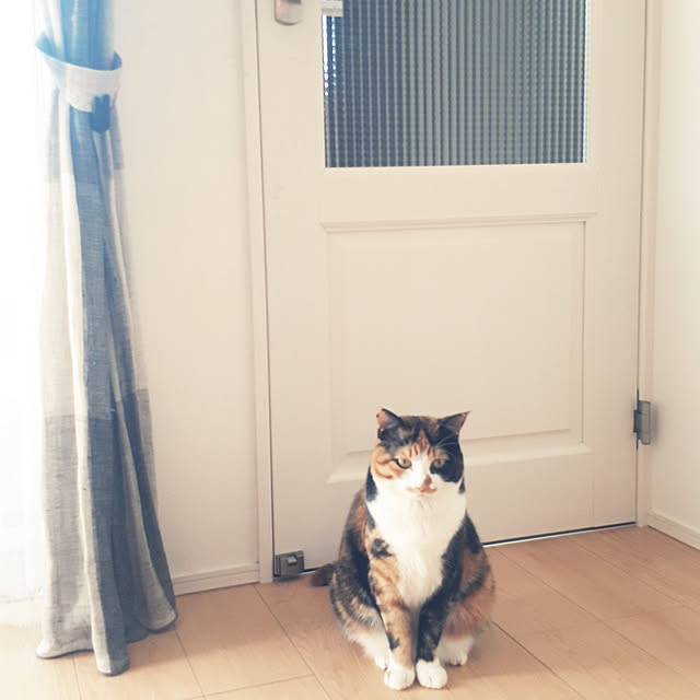 aiさんの実例写真