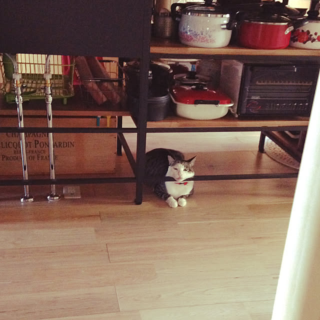 tunnelhouseさんの実例写真