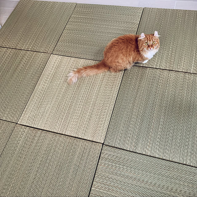 mimoさんの実例写真