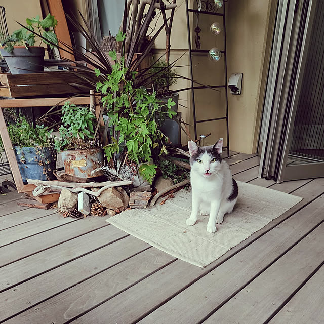 utaさんの実例写真