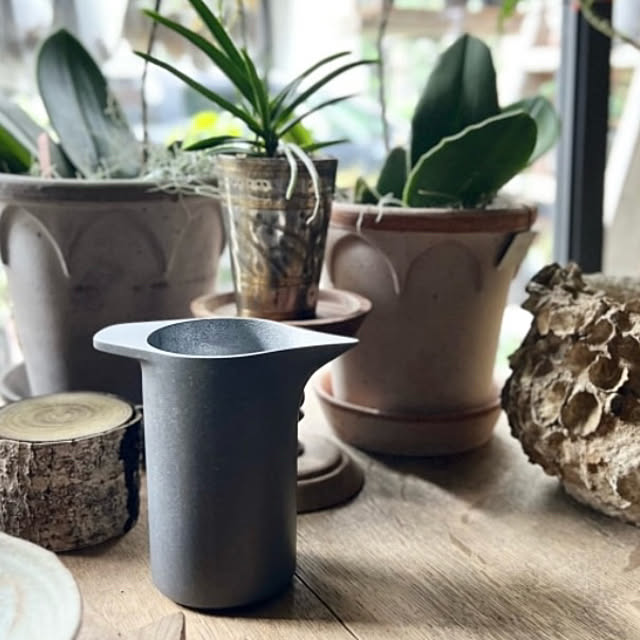 Royal_Gardeners_Clubさんの実例写真