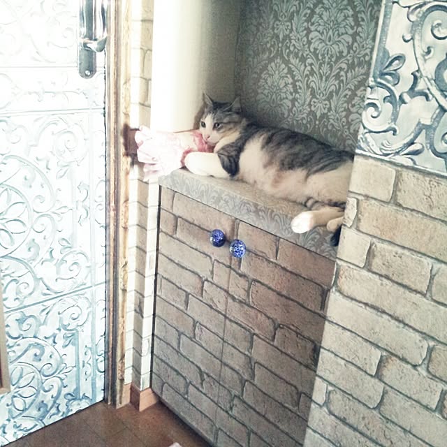 emmyyさんの実例写真