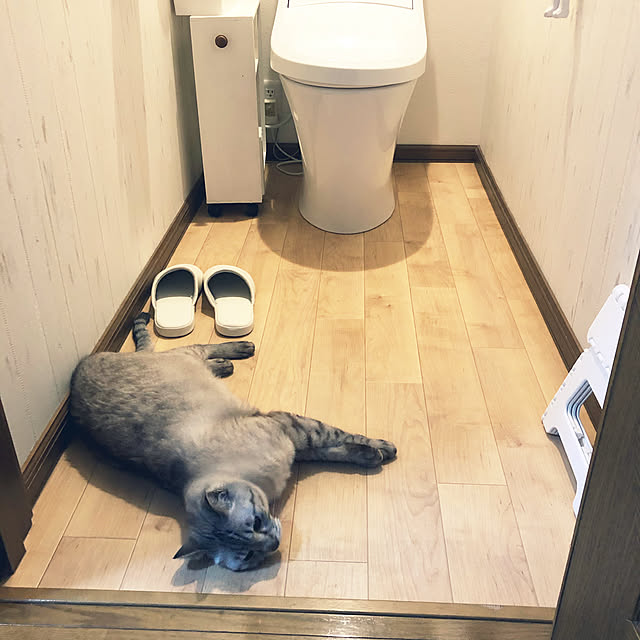mieさんの実例写真