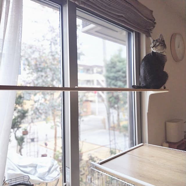 maimaiさんの実例写真