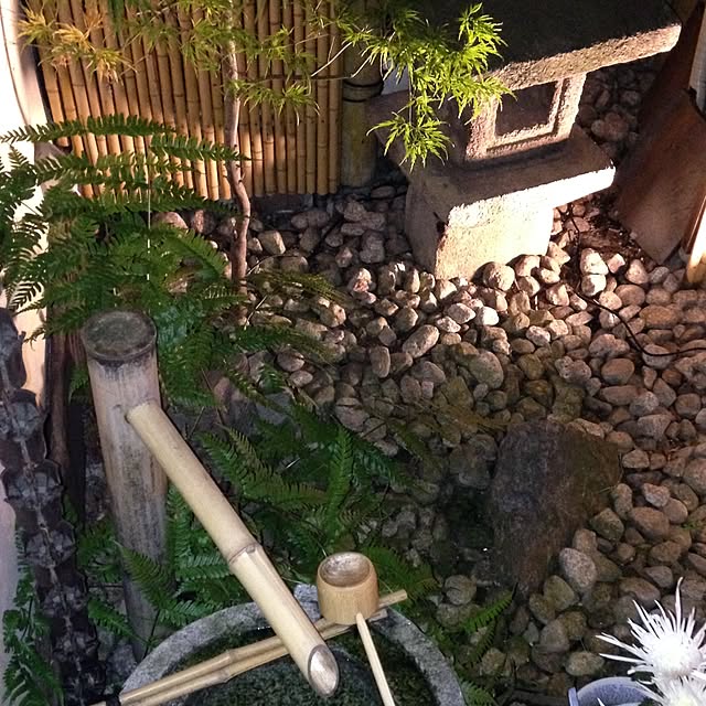 55mashuさんの実例写真