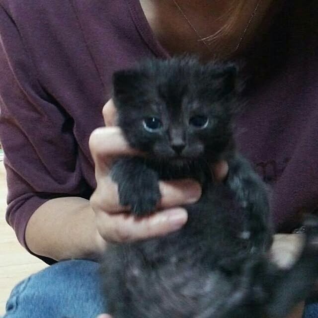 kiyohima229さんの実例写真