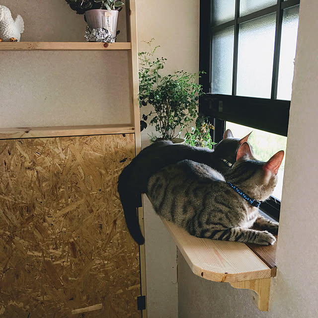 kmakkyiさんの実例写真