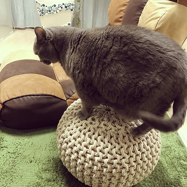 anneさんの実例写真