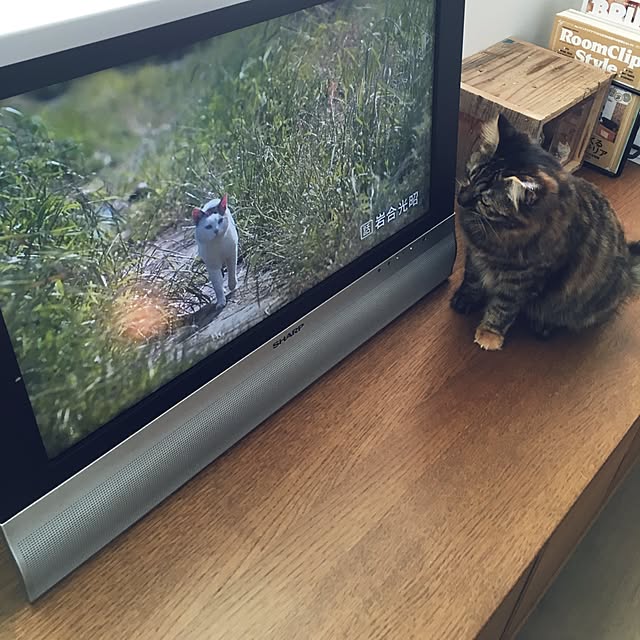 mikomaruさんの実例写真