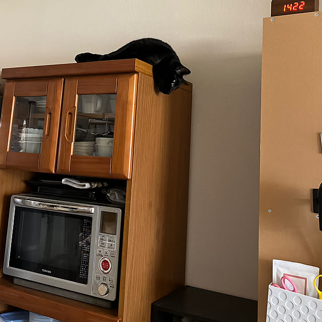 nyaさんの部屋