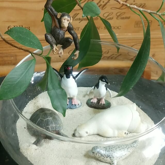 marokoさんの実例写真