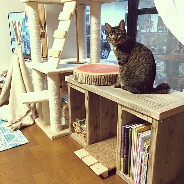 Norikoさんの実例写真
