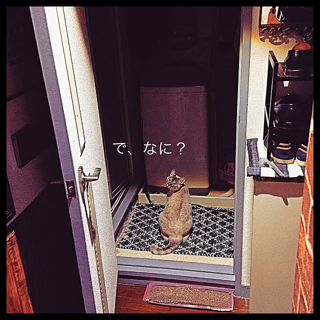 Naoki.さんの実例写真