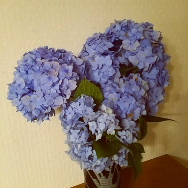 yukkoさんの実例写真