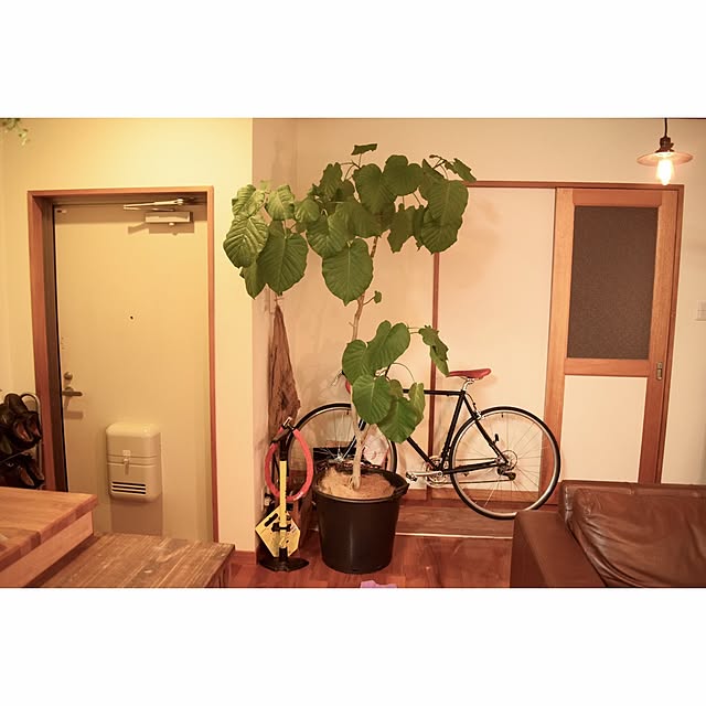 nochi_YTさんの実例写真