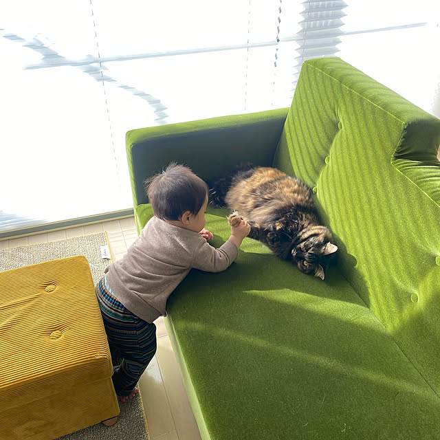 mikomaruさんの実例写真