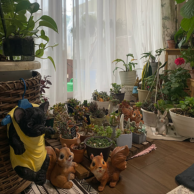 Aqettyさんの実例写真