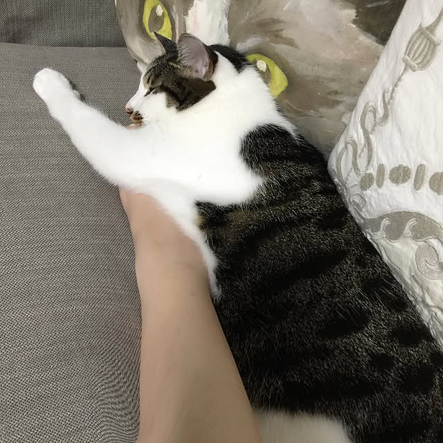 yuchiさんの実例写真