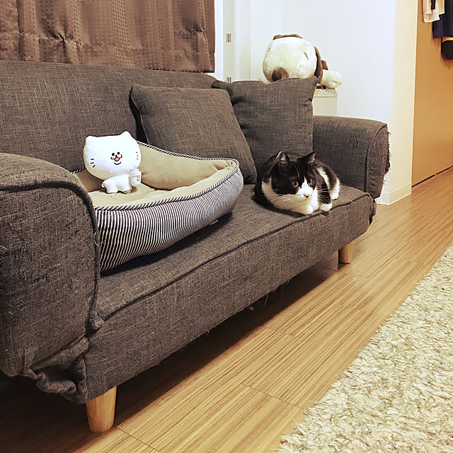 okekeさんの実例写真