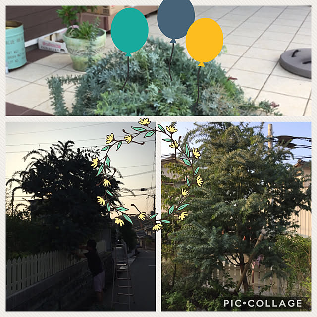 Andaluciaさんの実例写真