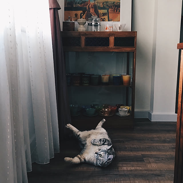 ptyyさんの実例写真