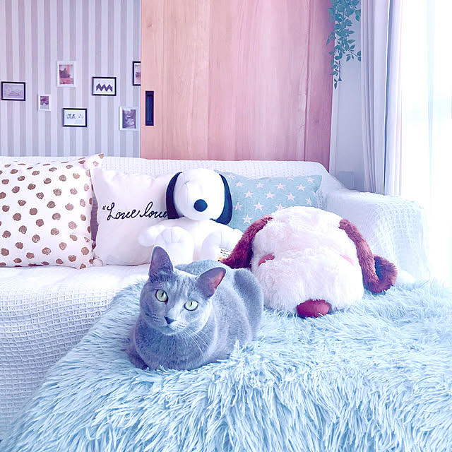 snoopyさんの実例写真