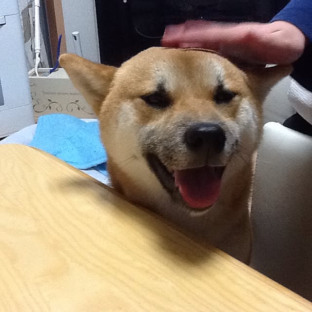 kotaさんの実例写真