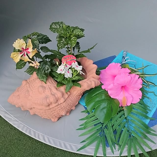kikiさんの実例写真