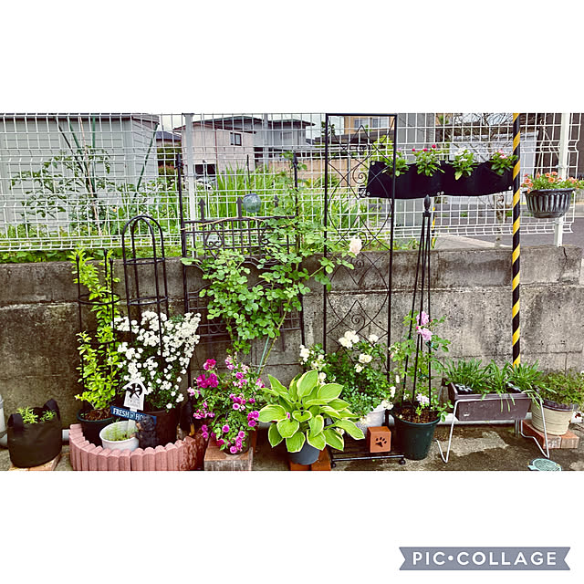 CoCo0617さんの部屋