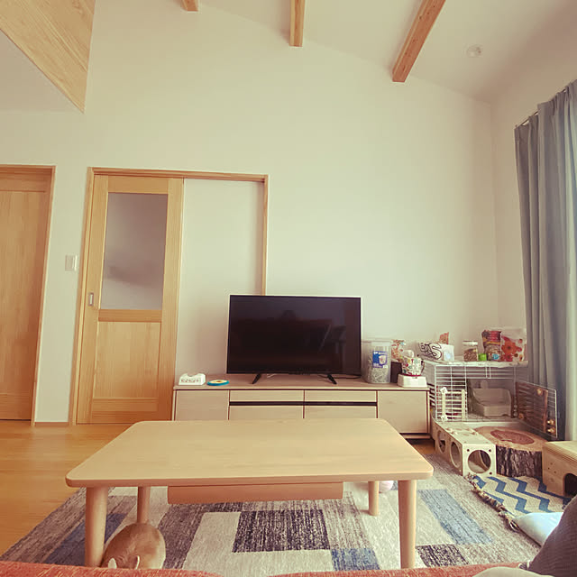 漆喰の壁/うさぎと暮らす/建売り一戸建て/リビングのインテリア実例 - 2020-09-24 08:42:52