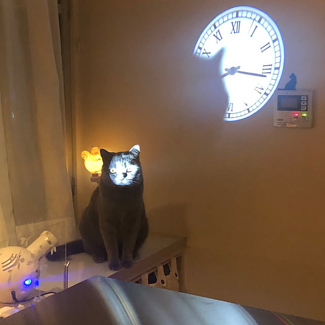 実例写真