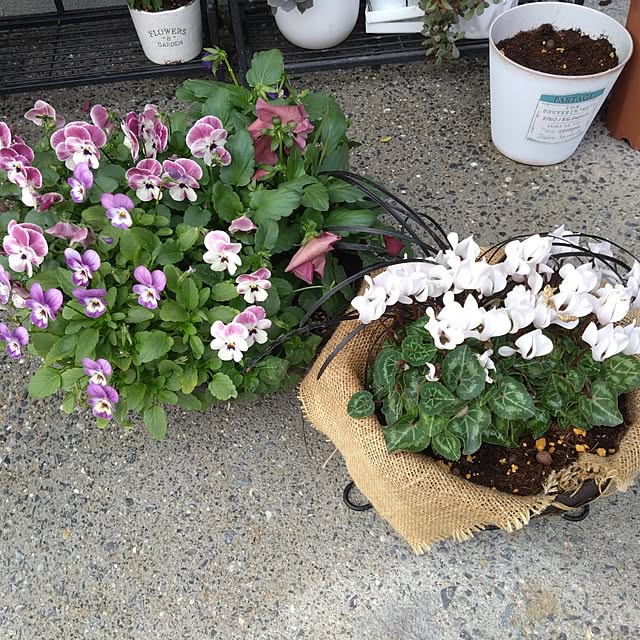 garden.numaさんの実例写真